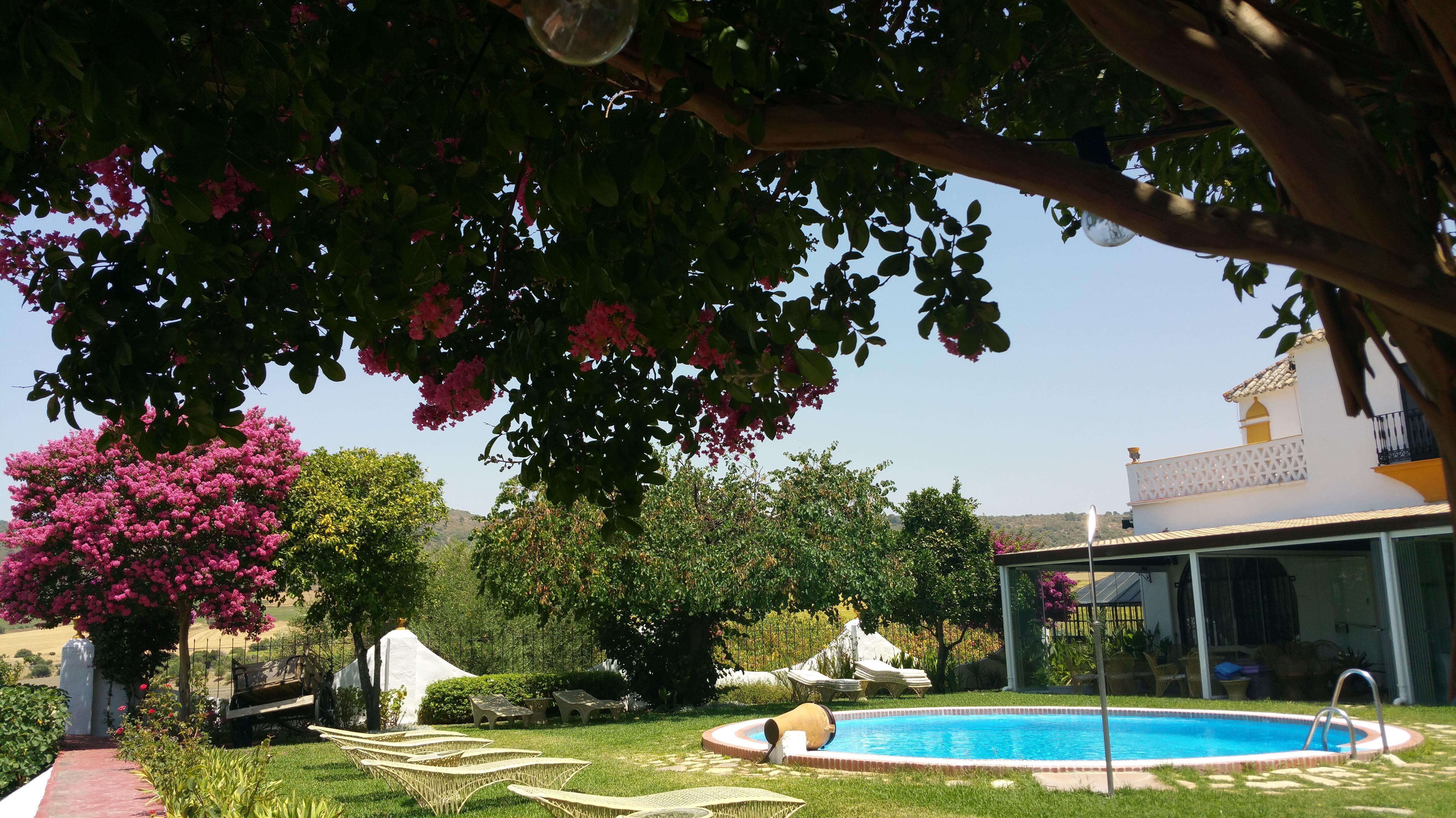 Hacienda El Santiscal Adults Only Hotell Arcos de la Frontera Exteriör bild