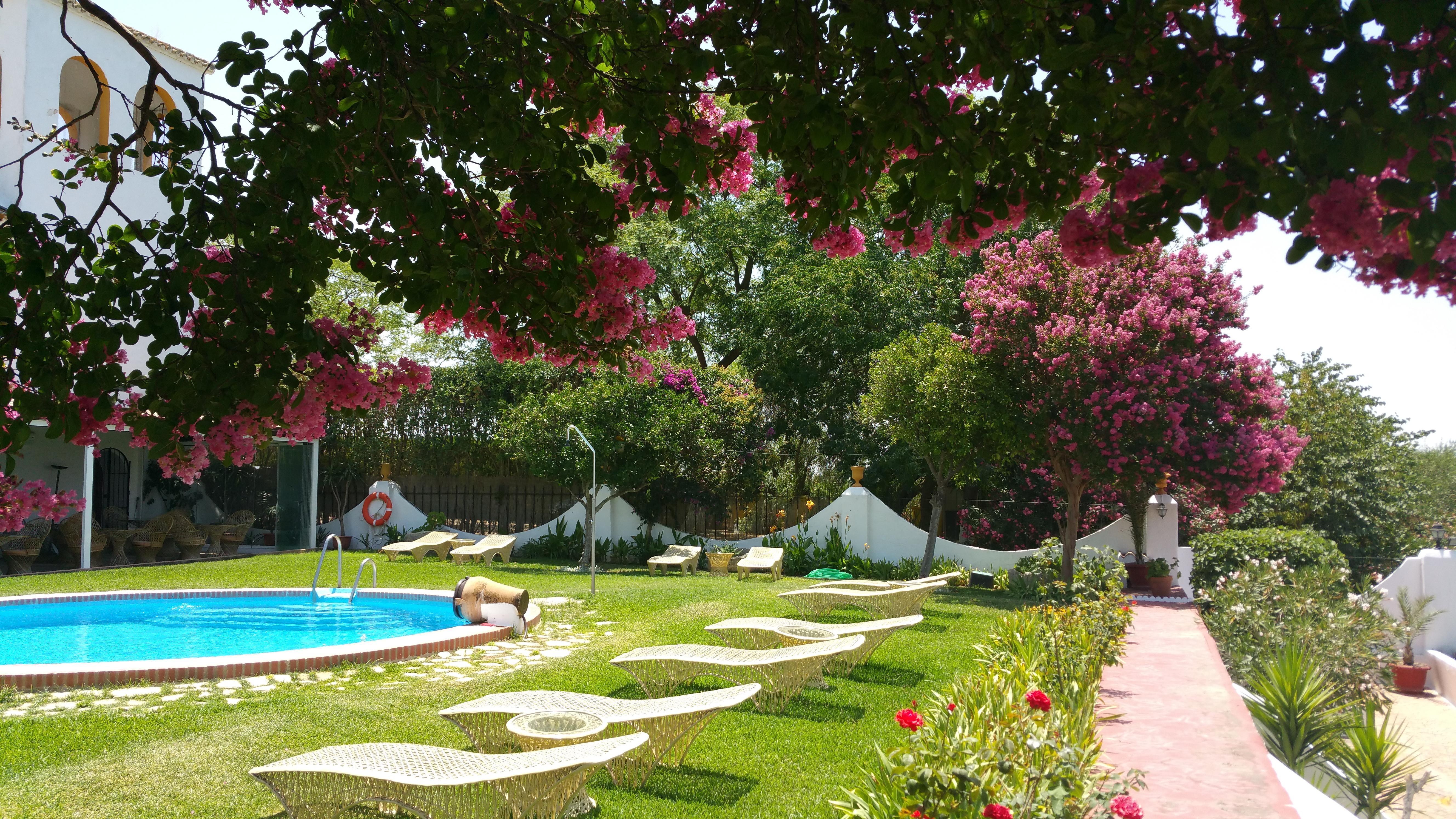 Hacienda El Santiscal Adults Only Hotell Arcos de la Frontera Exteriör bild