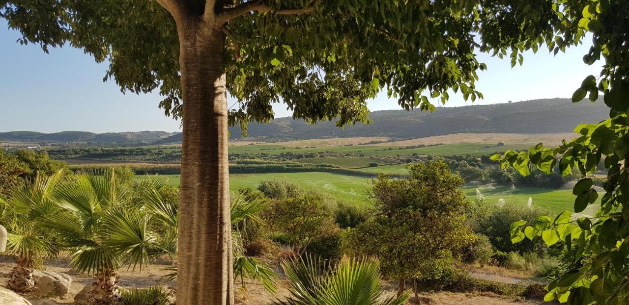 Hacienda El Santiscal Adults Only Hotell Arcos de la Frontera Exteriör bild