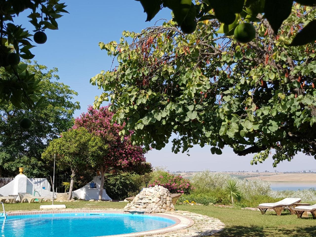Hacienda El Santiscal Adults Only Hotell Arcos de la Frontera Exteriör bild
